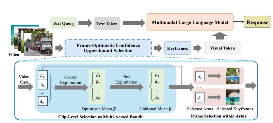 FOCUS model architecture overview