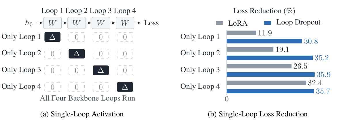Loop Dropout shared adaptation across loops and loss-reduction comparison
