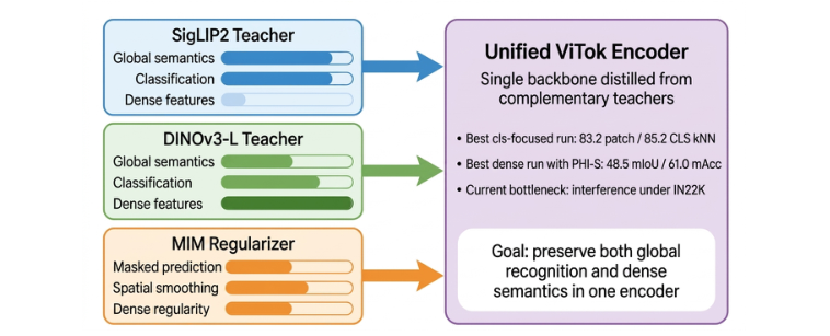ViTok encoder distilled from SigLIP2 and DINOv3-L with masked image modelling